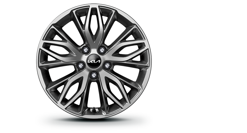 215/55R 17” Alloy Wheel