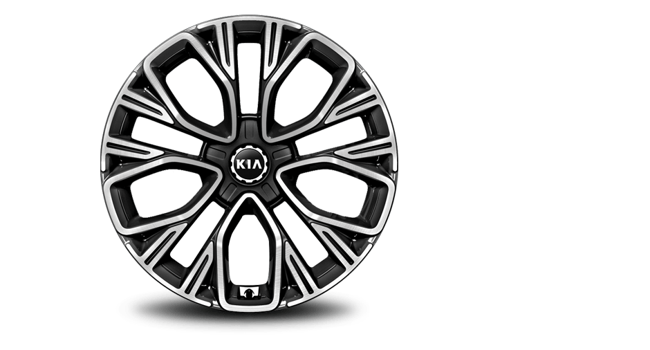 19” Alloy Wheel (A-type)