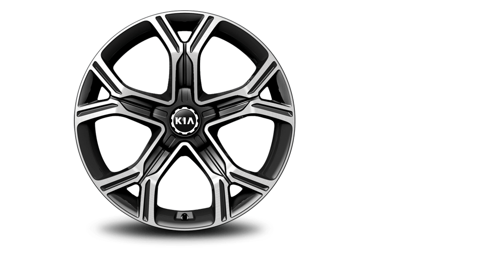  19” Alloy Wheel (B-type)