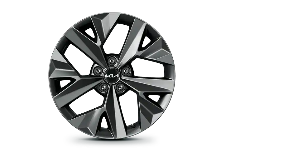 18-inch alloy wheel (B-Type)