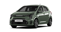 msg_vehicle_all-new-picanto